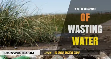 The Devastating Impact of Water Waste: A Global Crisis Unveiled