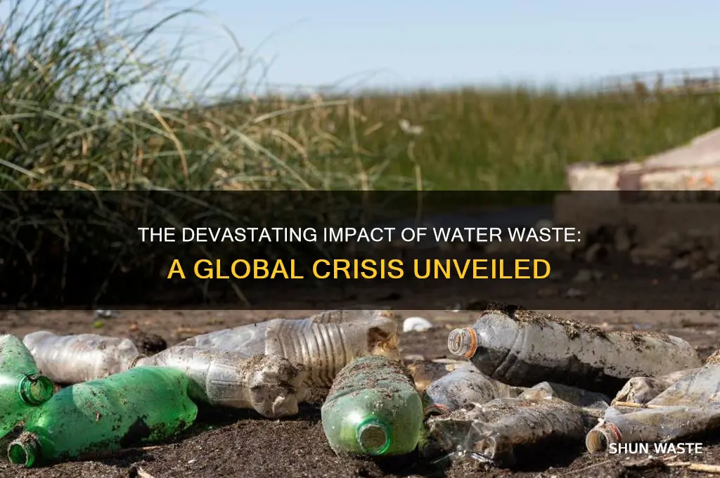 what is the affect of wasting water