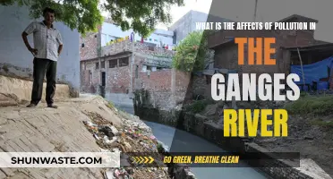 Ganges River Pollution: Understanding Its Devastating Impact