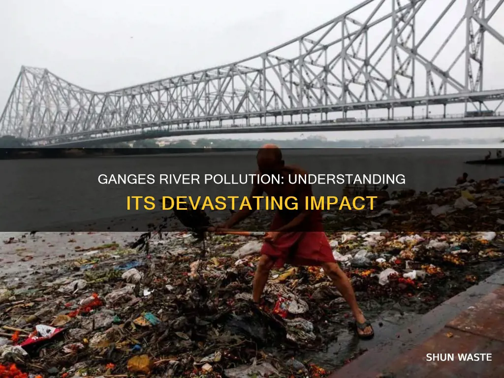 what is the affects of pollution in the ganges river