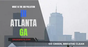 Air Quality in Atlanta: A Troubling Reality