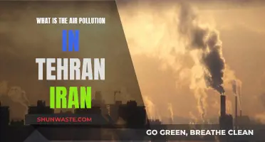 Tehran's Air Pollution: A City Choking on Smog