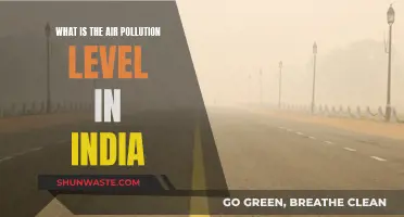 Air Pollution in India: A Critical Analysis