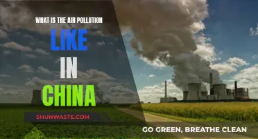 Air Pollution in China: A Critical Analysis