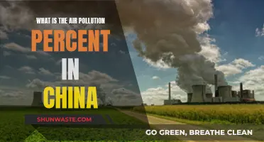 Air Pollution in China: A Critical Analysis