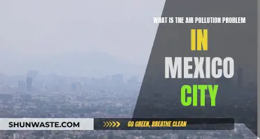 Mexico City's Air Pollution: A Crisis Unveiled