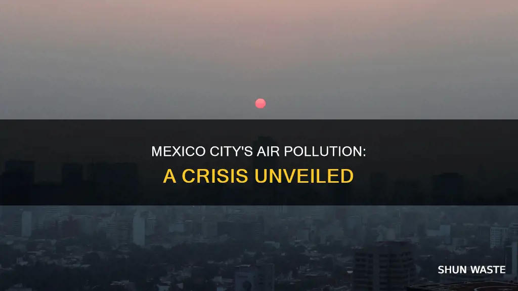 what is the air pollution problem in mexico city