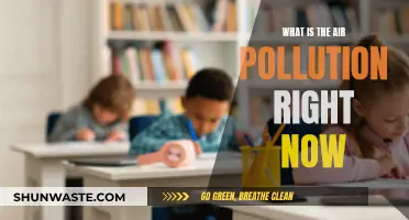 Air Quality Alert: Current Pollution Levels