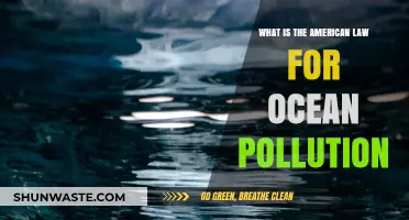 US Ocean Pollution Laws: Understanding the Legal Framework