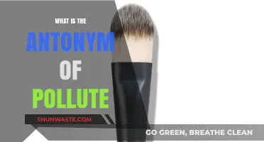 Purification: The Opposite of Pollution