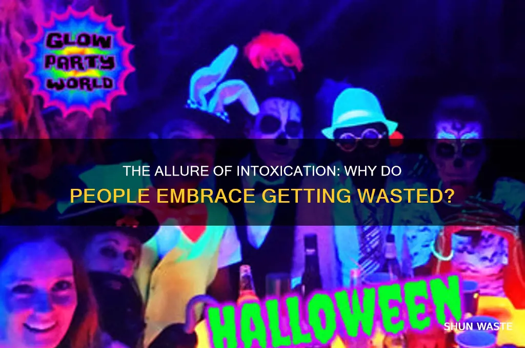 what is the appeal of getting wasted