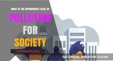 Pollution's Place: Society's Balancing Act