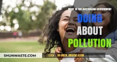 Australian Government's Pollution Mitigation Initiatives