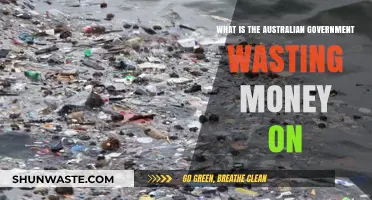 Australian Government Spending: Where Taxpayer Dollars Go to Waste