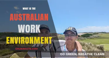 Exploring the Unique Dynamics of Australia's Professional Work Environment
