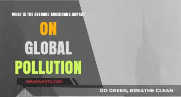 Americans' Global Pollution Footprint: How Bad Is It?