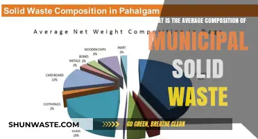 Understanding the Typical Composition of Municipal Solid Waste