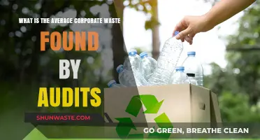 Uncovering Corporate Waste: Average Findings from Recent Audit Reports
