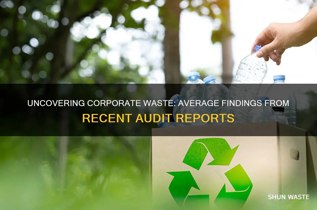 what is the average corporate waste found by audits