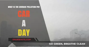 Cars' Daily Pollution Average: Understanding the Impact