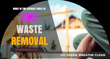 Average Dog Waste Removal Costs: What to Expect for Pet Owners