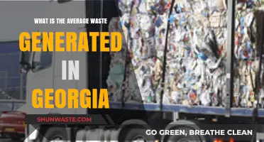 Georgia's Waste Generation: Understanding the Average Output and Impact
