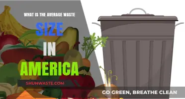 Understanding America's Average Waste Size: Trends and Environmental Impact