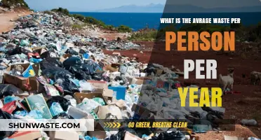 Understanding Annual Per Capita Waste Generation: A Global Perspective