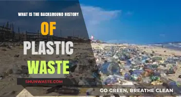 Tracing the Origins: The Historical Journey of Plastic Waste