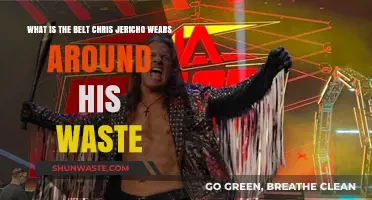 Chris Jericho's Iconic Belt: Unveiling the Story Behind His Signature Accessory