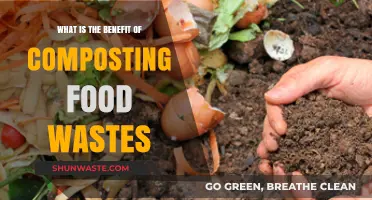 Transforming Scraps into Gold: The Surprising Benefits of Composting Food Waste