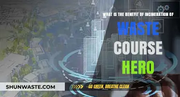 Incineration of Waste: Unlocking Environmental and Energy Benefits