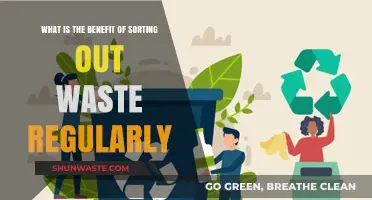 Sorting Waste Regularly: Key Benefits for Environment and Sustainability