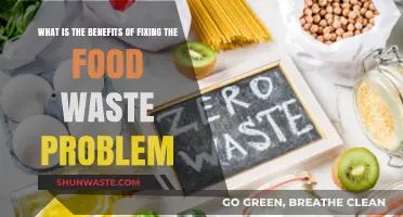 Solving Food Waste: A Key to Sustainable Living and Economic Growth