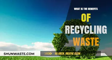 Recycling Waste: Unlocking Environmental, Economic, and Social Benefits for All