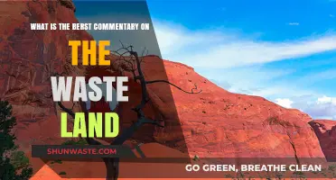 Exploring the Best Commentary on T.S. Eliot's The Waste Land