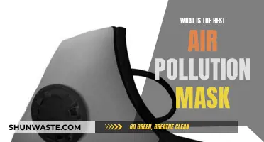 Air Pollution Masks: Best Defense for Your Lungs
