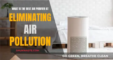 Best Air Purifiers: Breathe Easy and Banish Pollution