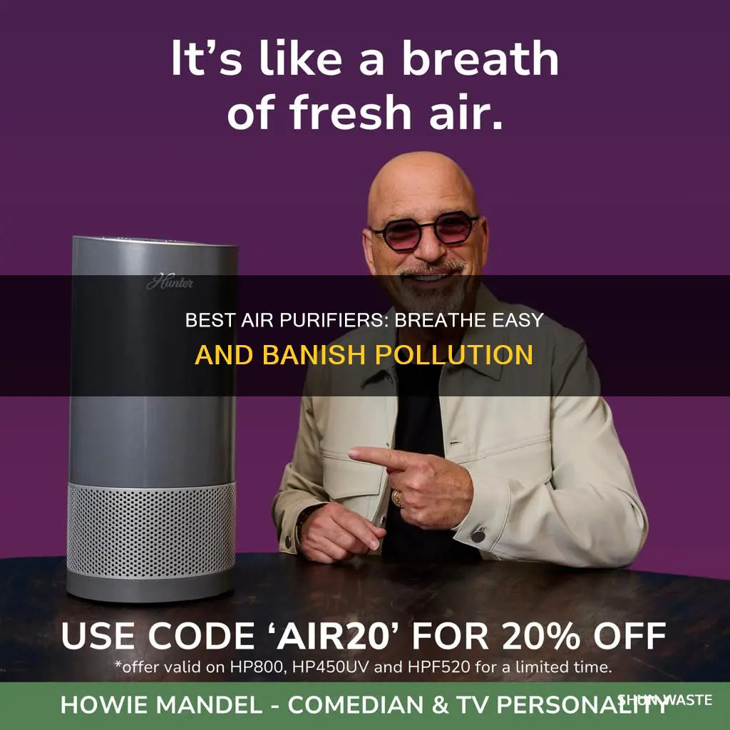 what is the best air purifier at eliminating air pollution