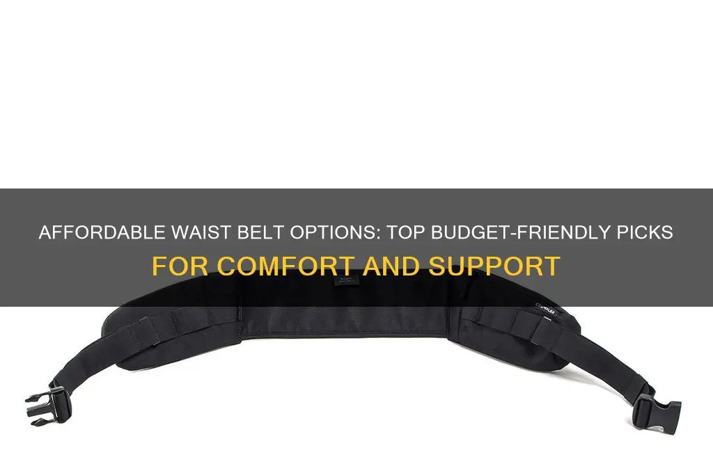 what is the best cheapest wast belt