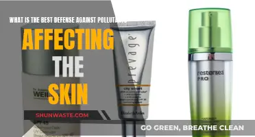 Protecting Skin: Defending Against Pollutants