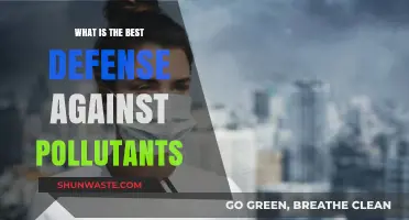 Protecting Ourselves: Best Defense Strategies Against Pollutants