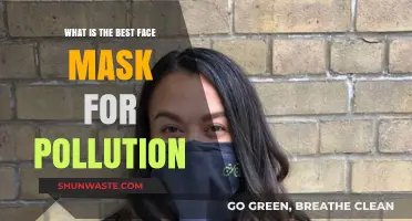 Face Masks: Protecting Your Health from Pollution