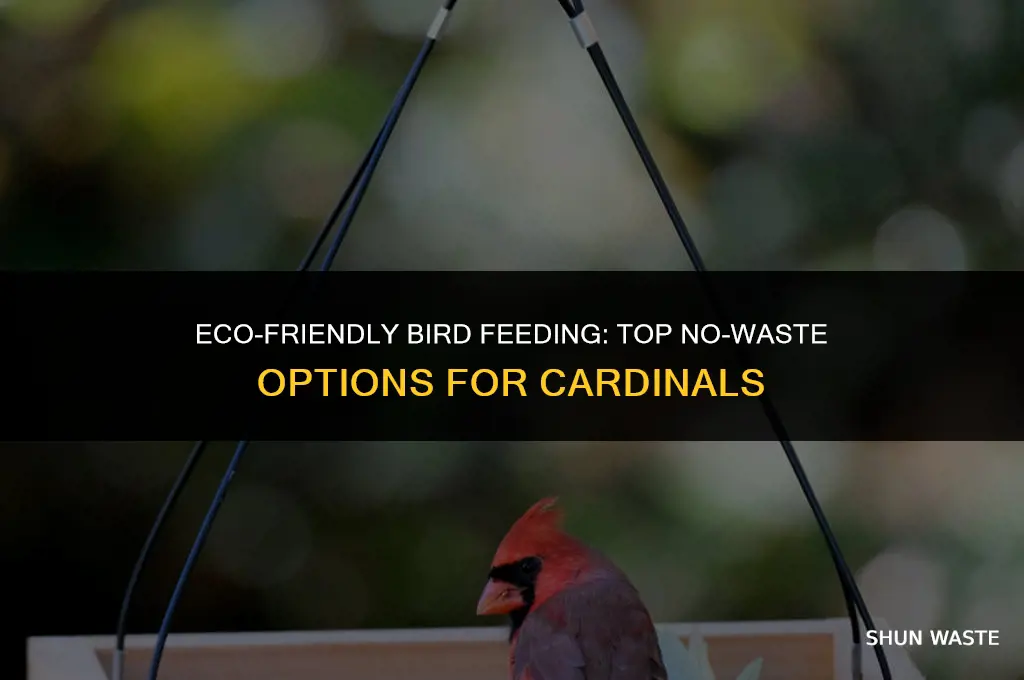 what is the best no waste bird food for cardinals