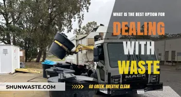 Effective Waste Management: Sustainable Solutions for a Greener Future