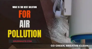 Solutions to Air Pollution: Breathe Easier Now