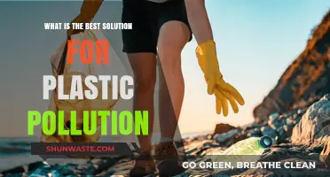 Solving Plastic Pollution: Sustainable Solutions for a Greener Tomorrow