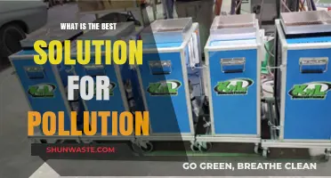 Green Revolution: Solving Pollution with Innovation