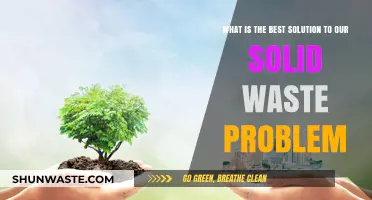 Sustainable Solutions: Tackling Our Solid Waste Crisis Effectively and Efficiently