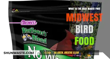 Eco-Friendly Midwest Bird Feeding: Top Waste-Free Options